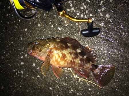 暖かいし  暇やし