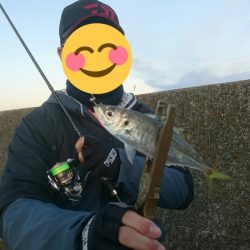 釣り納めアジング