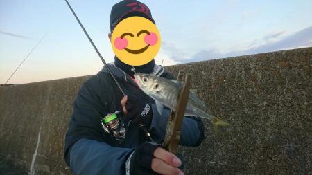 釣り納めアジング