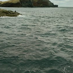 今期初参戦、平島にてヒラス狙い。