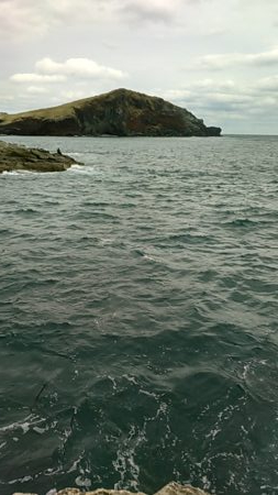 今期初参戦、平島にてヒラス狙い。