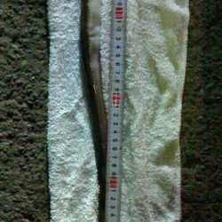 ブラクリでアナゴ