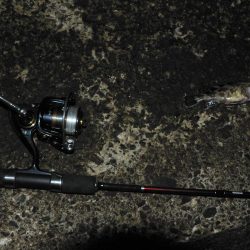 ヘチガシリング