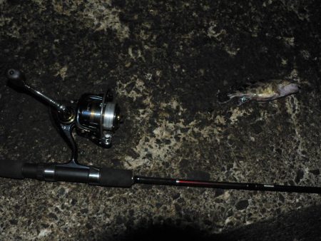 ヘチガシリング