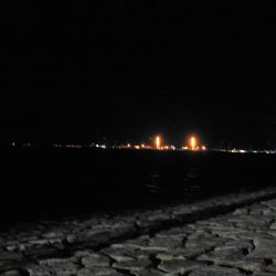 メバルいるんだけどなぁ～