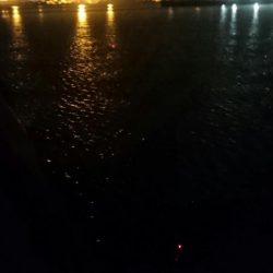 出勤前の湾奥タチウオ調査