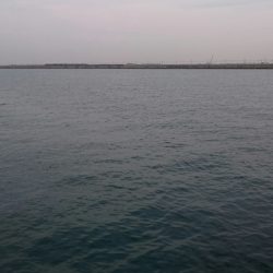 極寒タチウオ釣行