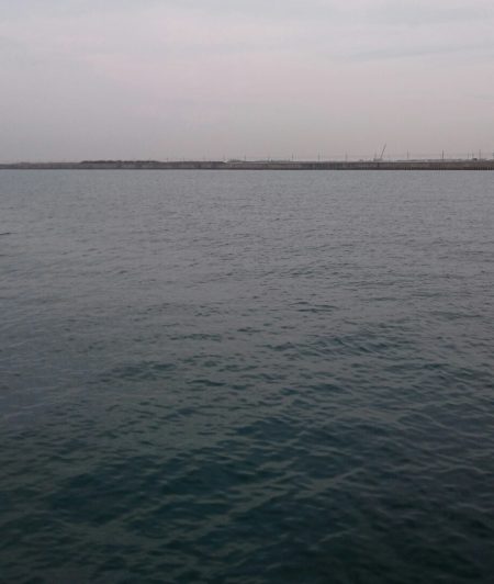 極寒タチウオ釣行