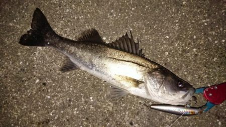 今日も寒かったが短時間夕練出撃！