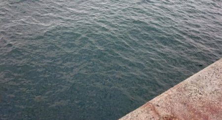 しつこく太刀魚釣り