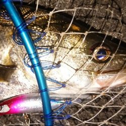 明暗境目でガツーン！