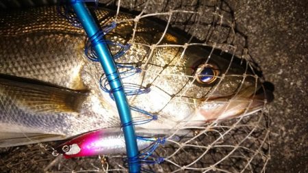 明暗境目でガツーン！