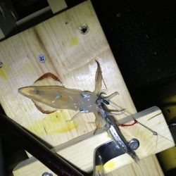 倉庫前でヒイカ