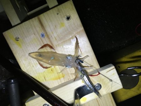 倉庫前でヒイカ