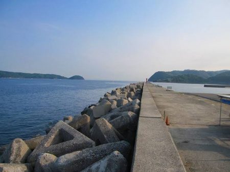 必殺！泳がせ釣り！