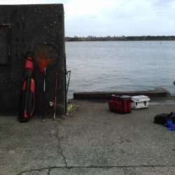 今週の釣果報告！１２月３日（月）