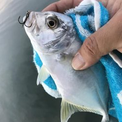 メッキ遊び楽しー