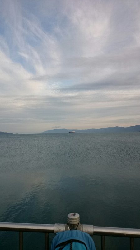 渋い中なんとか2本