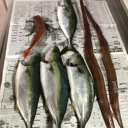 ジギング釣り納め