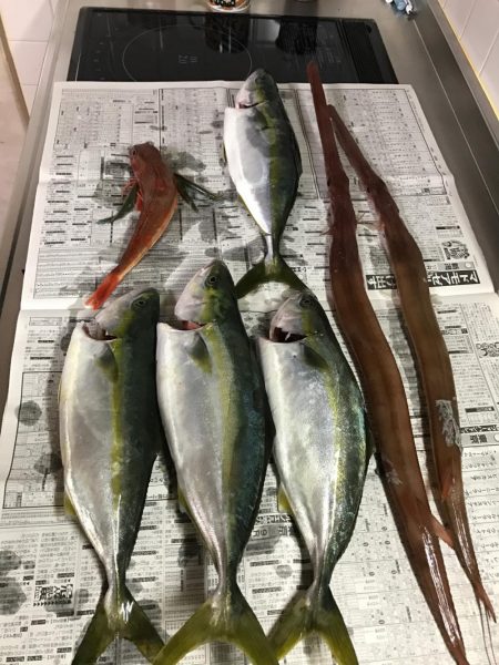 ジギング釣り納め