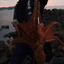 第11回エギバトル参加