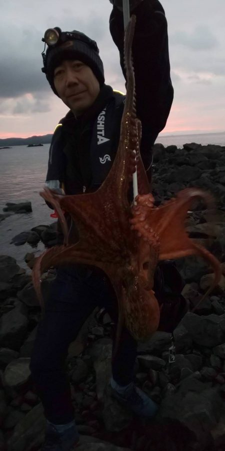 第11回エギバトル参加