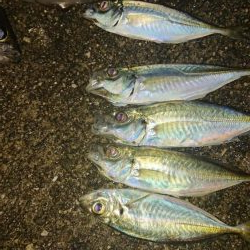 のんびりまったり