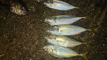 のんびりまったり