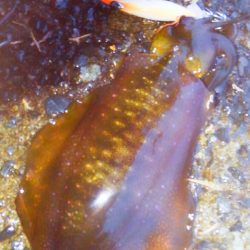 雨の修行調査‼