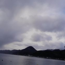 シャクドンﾂ祭り⚡