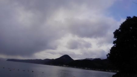 シャクドンﾂ祭り⚡