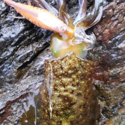 久々300g アップ⤴⤴