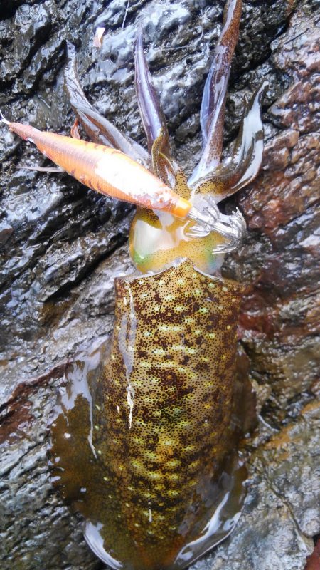 久々300g アップ⤴⤴