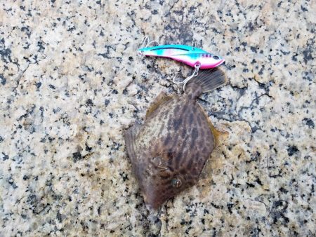 ボウズは回避出来たが…