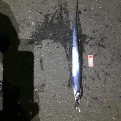 やっと複数安打！！！