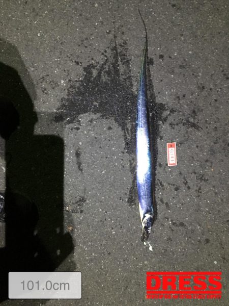 やっと複数安打！！！