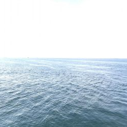 青物を狙おうと試みるも….