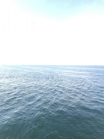 青物を狙おうと試みるも….