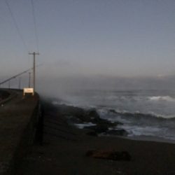 大時化の三国突堤にてシーバス