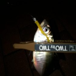 寒風吹きされる中の釣り