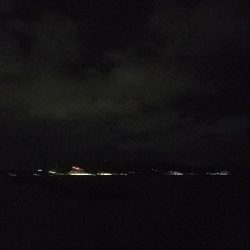 ガシラ釣り　～深夜90分勝負～