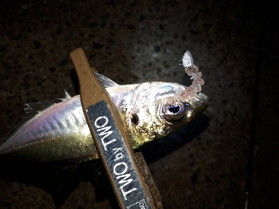 オフになると、釣り