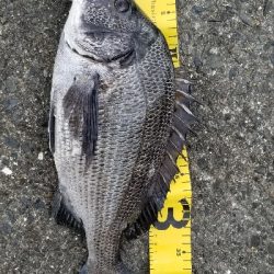 周防大橋下にて。なんとなく寄ってみました。