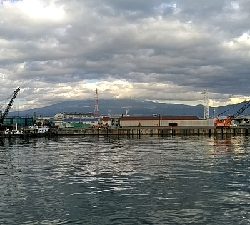 メッキ釣れました