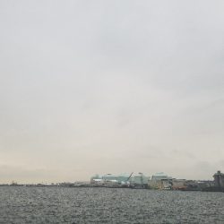 ライトジギング