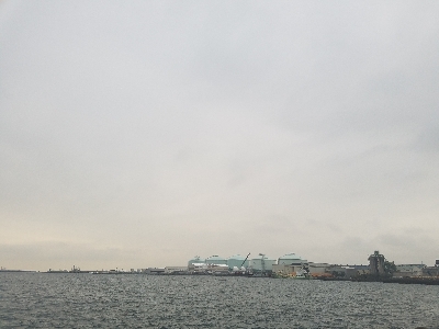 ライトジギング