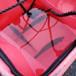 平成最後の釣り