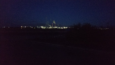 今日は初コノシロフィッシュ