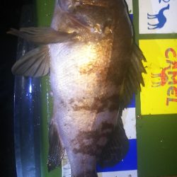 横浜アジは終結？