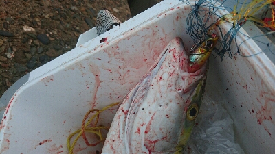 セットアッパーで初